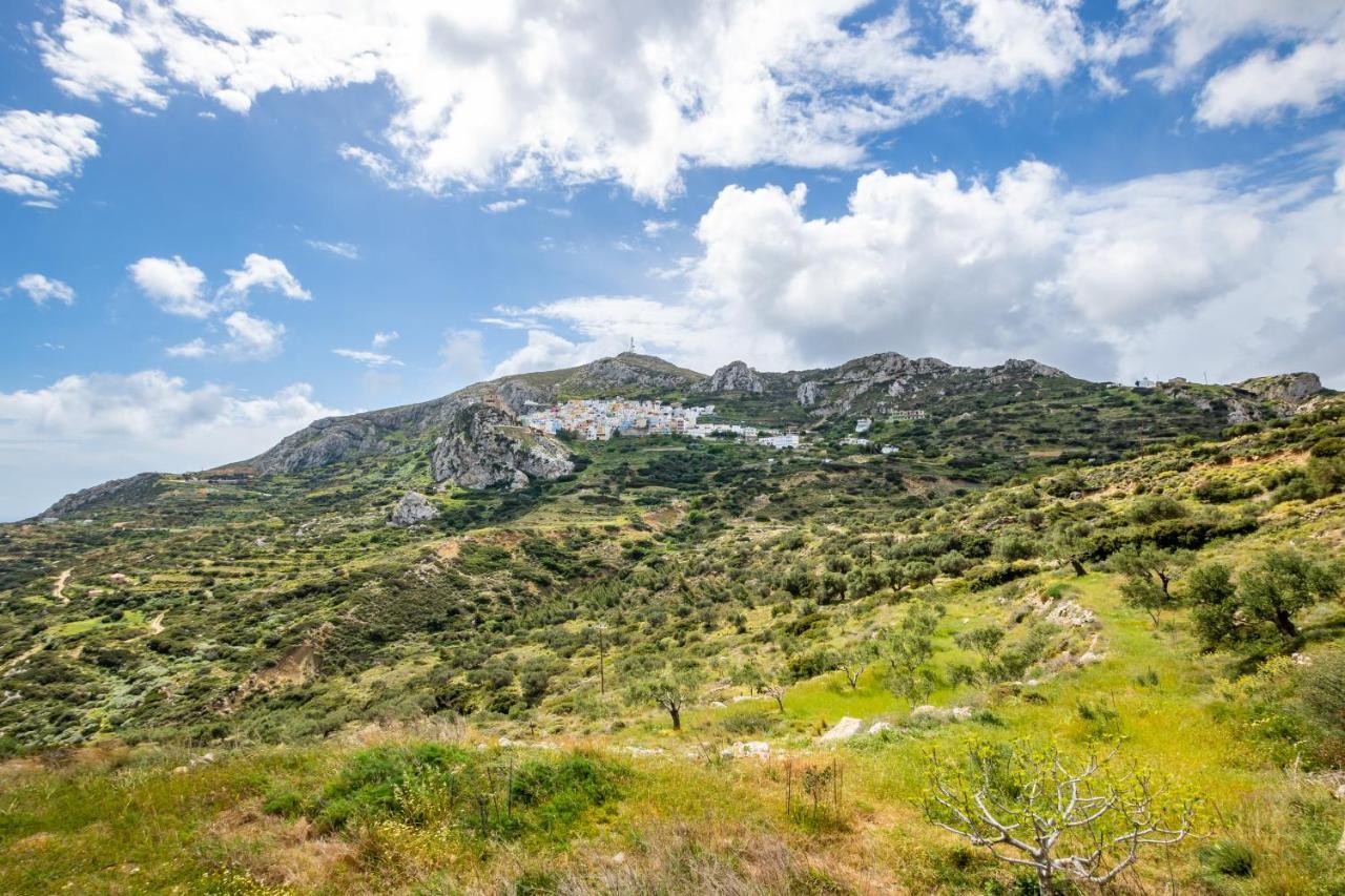 Olive Grove Cottage Menetai Экстерьер фото